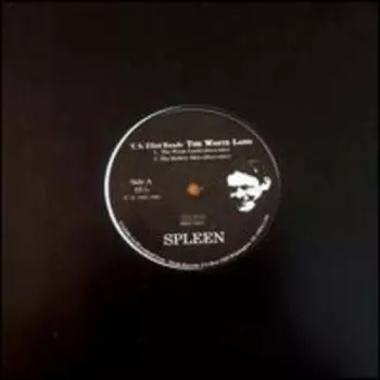 Spleen: Ts Eliot Reads The Waste Land