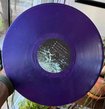 LP SRSQ: Ever Crashing CLR | LTD