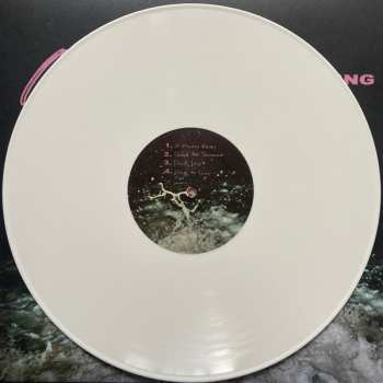 LP SRSQ: Ever Crashing CLR | LTD