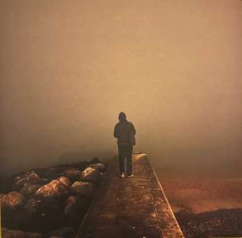 LP Steve Gunn: Daylight Daylight