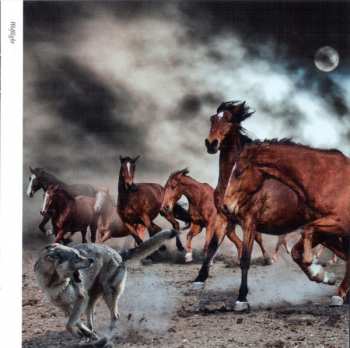 CD Steve Hackett: Wolflight