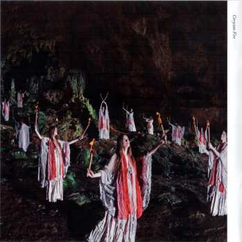 CD Steve Hackett: Wolflight