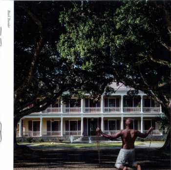 CD Steve Hackett: Wolflight