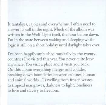 CD Steve Hackett: Wolflight