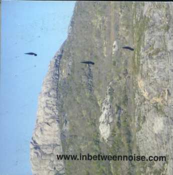 7CD/Zestaw pudełkowy Steve Roden: A Thousand Breathing Forms (2003-2008)