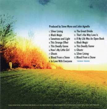 11CD/Zestaw pudełkowy Steve Wynn: Decade