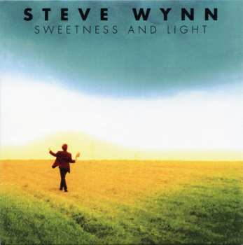 11CD/Zestaw pudełkowy Steve Wynn: Decade