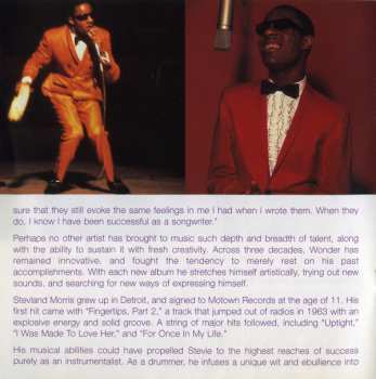 2CD Stevie Wonder: Song Review (A Greatest Hits Collection)