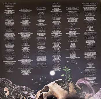 2LP Stratovarius: Survive LTD | CLR