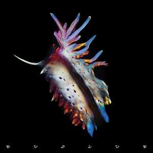 Album Sub Focus: Evolve