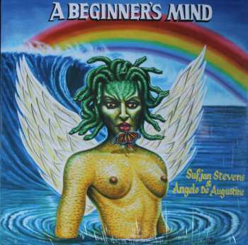 LP Sufjan Stevens: A Beginner's Mind