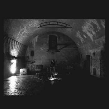 LP Svarte Greiner: Devolving Trust