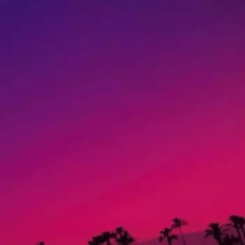 Sweet Williams: Sweet Williams