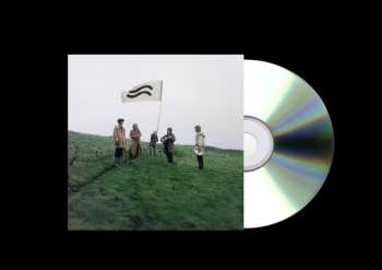 Album Swim Deep: Hum