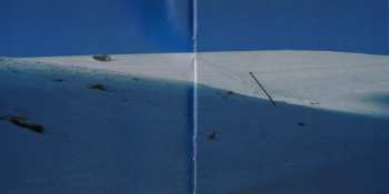 CD Symbiosis: Slavine