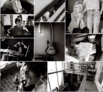 CD Tanya Donelly: Tanya Donelly And The Parkington Sisters