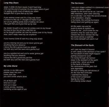 CD Teen Suicide: It's The Big Joyous Celebration, Let's Stir The Honeypot