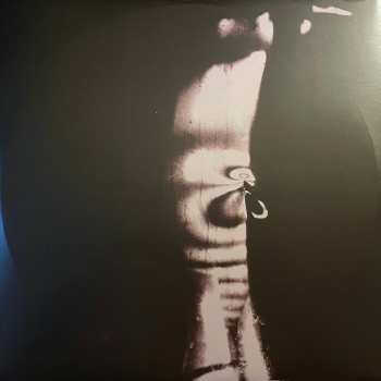 LP Teenage Fanclub: Nothing Lasts Forever 