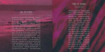 2CD/DVD/Zestaw pudełkowy/Blu-ray Temple Of The Dog: Temple Of The Dog DLX | LTD