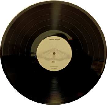 LP Terminal Serious: Fear And Cure LTD | NUM