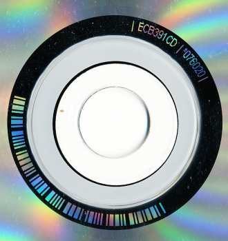 CD The 2 Bears: The Night Is Young