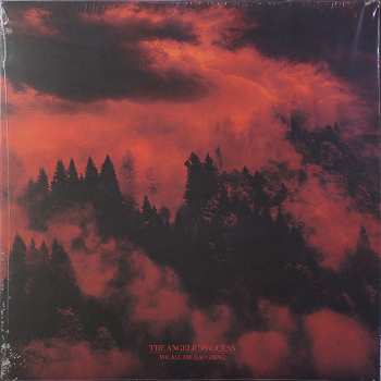6LP/Zestaw pudełkowy The Angelic Process: We All Die Laughing DLX | LTD