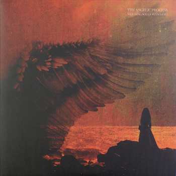 6LP/Zestaw pudełkowy The Angelic Process: We All Die Laughing DLX | LTD