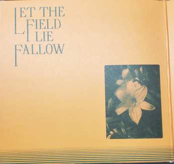 LP The Antlers: Green To Gold