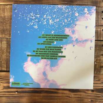 LP The Babe Rainbow: Slipper Imp And Shakaerator