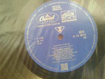LP The Beach Boys: The Beach Boys
