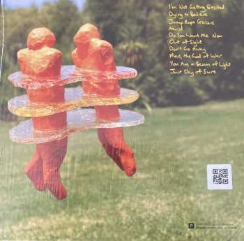 LP The Beths: Jump Rope Gazers CLR