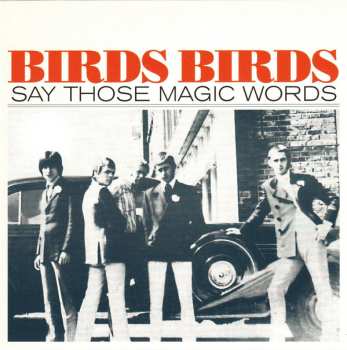 5SP/Zestaw pudełkowy The Birds: The Birds Ride Again LTD