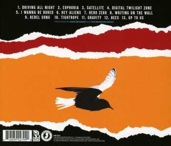 CD The Bouncing Souls: Simplicity