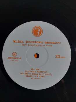 LP The Brian Jonestown Massacre: Fire Doesn't Grow On Trees