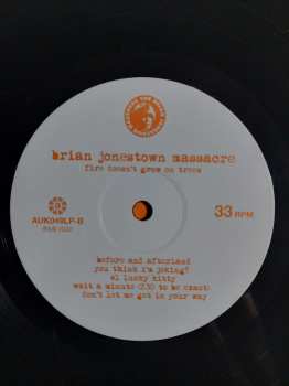 LP The Brian Jonestown Massacre: Fire Doesn't Grow On Trees