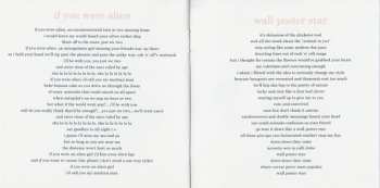 CD The Brunettes: Structure & Cosmetics