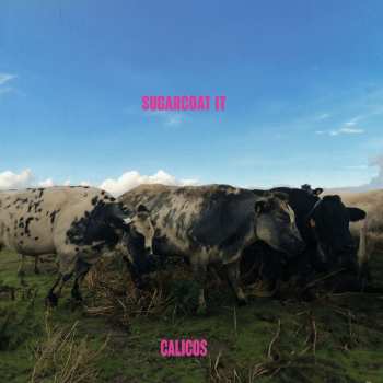 Album The Calicos: Sugarcoat It