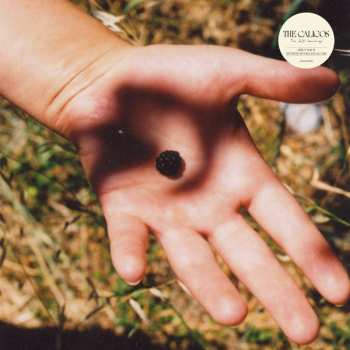 LP The Calicos: The Soft Landing