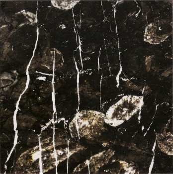 CD The Callas: Am I Vertical?