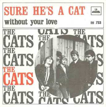 CD The Cats: Sure He's A Cat
