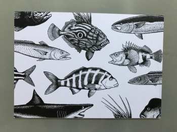 LP The Chills: Pyramid / When The Poor Can Reach The Moon