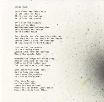 CD The Coral: Distance Inbetween