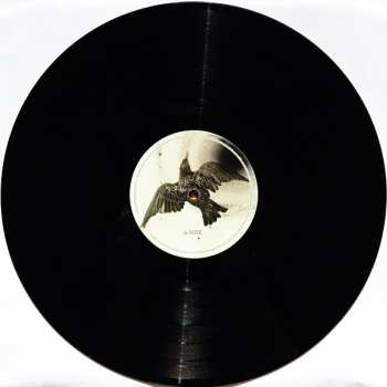 LP/CD The Coral: Distance Inbetween