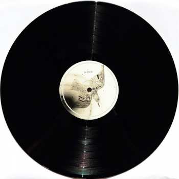 LP/CD The Coral: Distance Inbetween