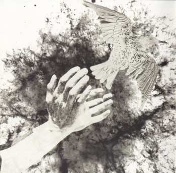 CD The Coral: Distance Inbetween