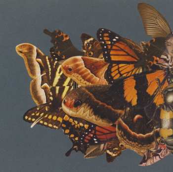 CD The Courteeners: More. Again. Forever. 