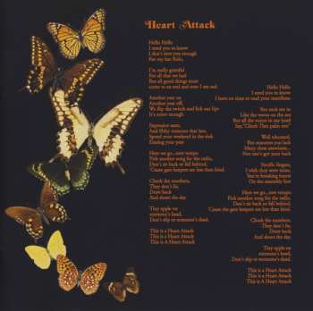 CD The Courteeners: More. Again. Forever. 