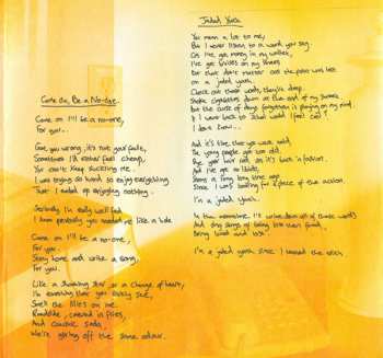 CD/DVD The Cribs: In The Belly Of The Brazen Bull LTD | DLX