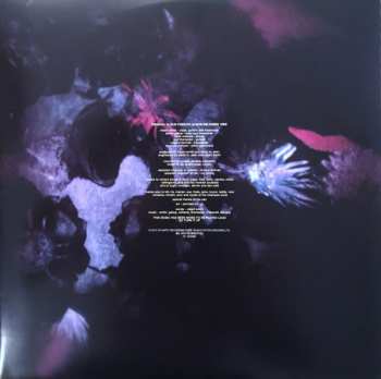 2LP The Cure: Disintegration