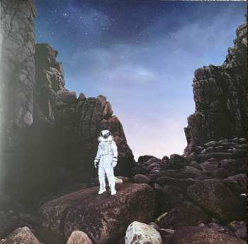 LP The Dangerous Summer: Gravity
